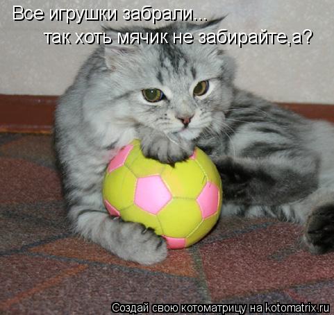 Котоматрица: Все игрушки забрали... так хоть мячик не забирайте,а?