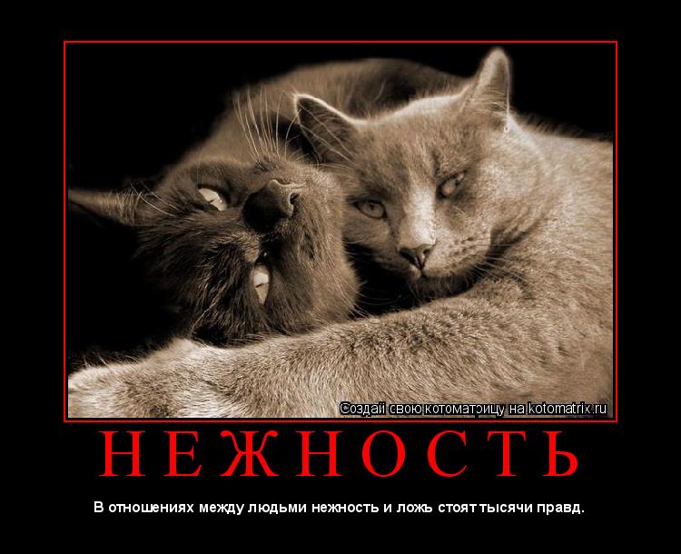 Н Е Ж Н О С Т Ь ... Котоматрица: Н Е Ж Н О С Т Ь