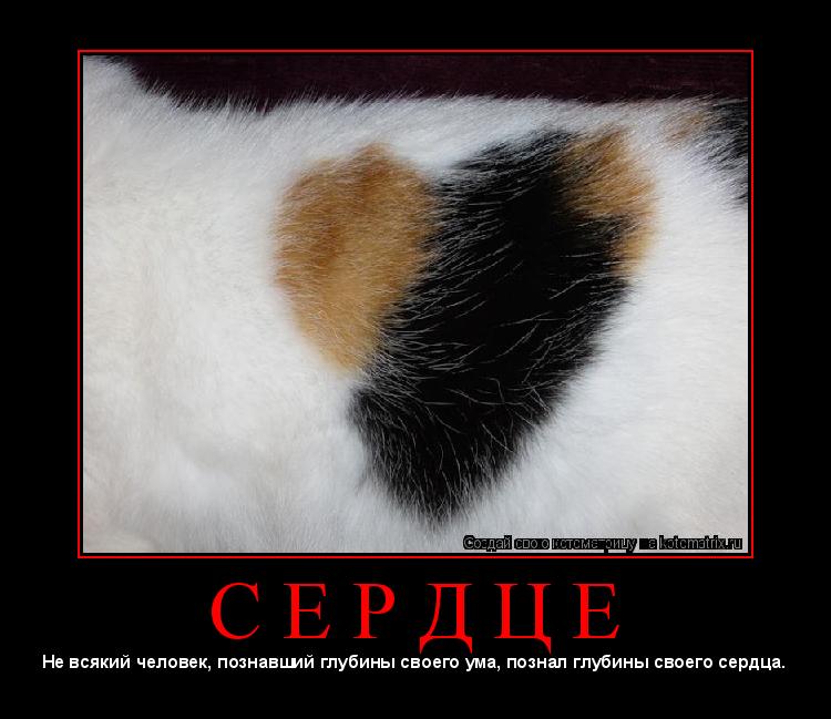 Котоматрица: С Е Р Д Ц Е 
