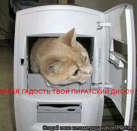КАКАЯ ГАДОСТЬ ТВОЙ ПИРАТСКИЙ ДИСК!!!... Котоматрица: КАКАЯ ГАДОСТЬ ТВОЙ ПИРАТСКИЙ ДИСК!!!