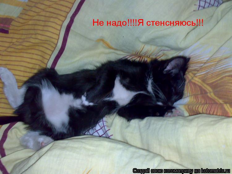Котоматрица: Не надо!!!!Я стенсняюсь!!!
