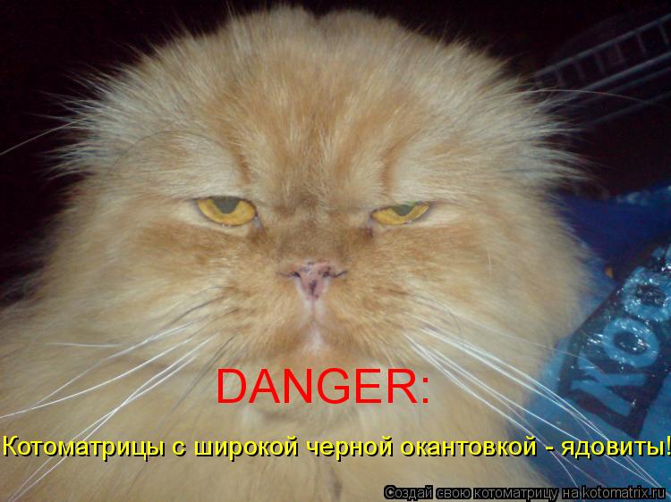 DANGER: Котоматрицы с широкой черной окантовкой - ядовиты!... Котоматрица: DANGER: Котоматрицы с широкой черной окантовкой - ядовиты!