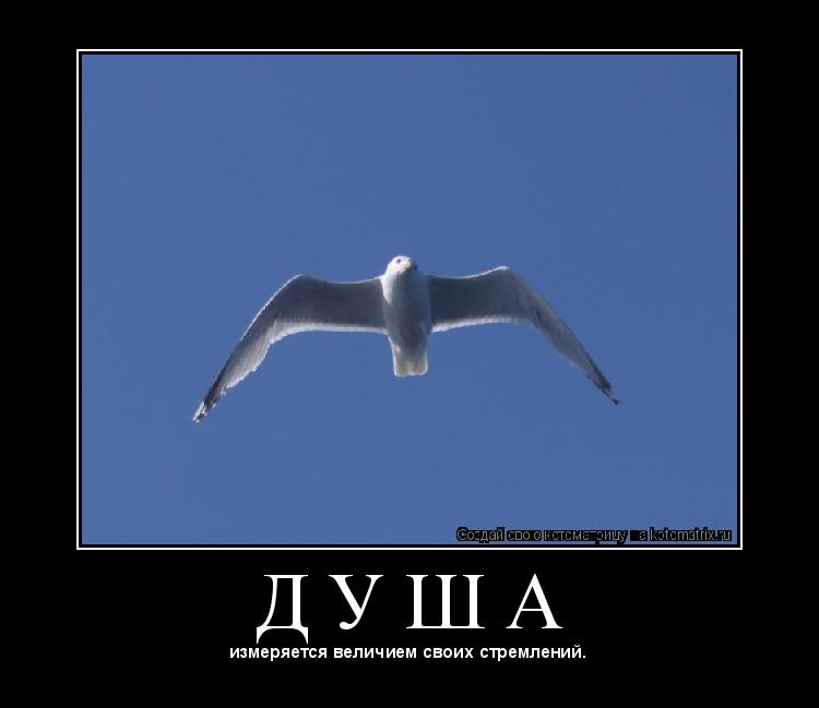 Котоматрица: Д У Ш А 