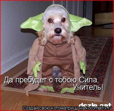 Да пребудет с тобою Сила, Учитель!... Котоматрица: Да пребудет с тобою Сила, Учитель!