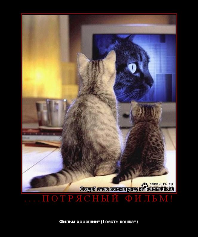 . . . . П О Т Р Я С Н Ы Й Ф И Л Ь М ! ... Котоматрица: . . . . П О Т Р Я С Н Ы Й Ф И Л Ь М !