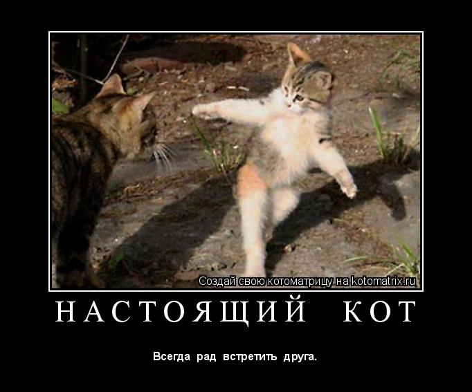 Котоматрица: Н А С Т О Я Щ И Й     К О Т 