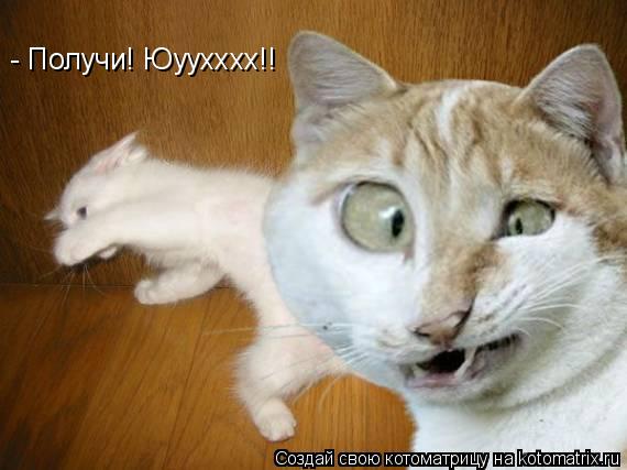 Котоматрица: - Получи! Юуухххх!!