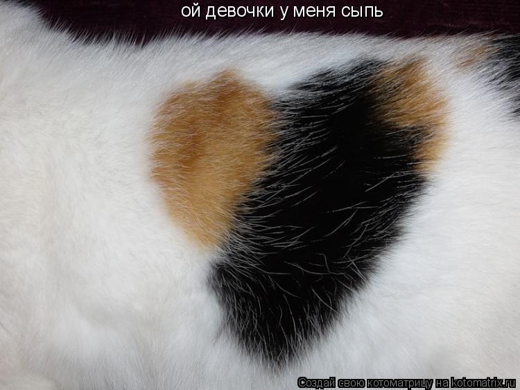 Котоматрица: ой девочки у меня сыпь