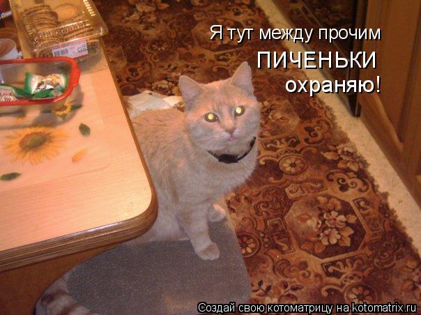 Котоматрица: Я тут между прочим ПИЧЕНЬКИ  охраняю!