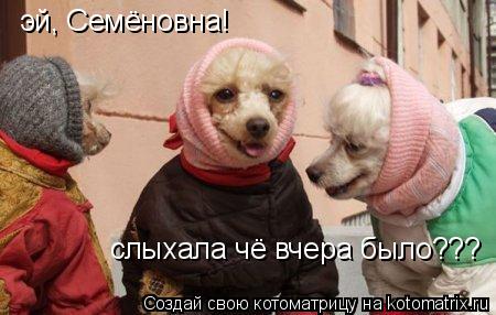 Котоматрица: эй, Семёновна! слыхала чё вчера было???