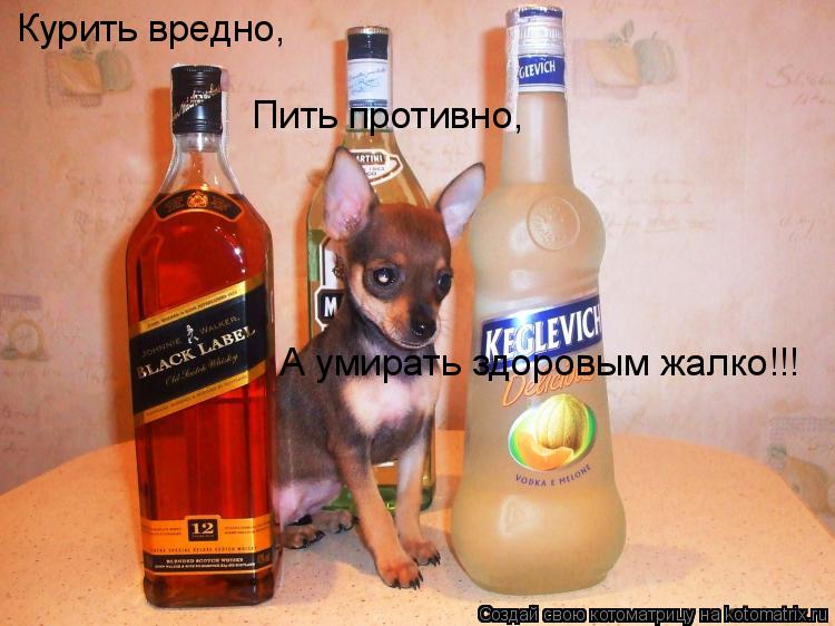 Курить вредно, Пить противно, А умирать здоровым жалко!!!... Котоматрица: Курить вредно, Пить противно, А умирать здоровым жалко!!!