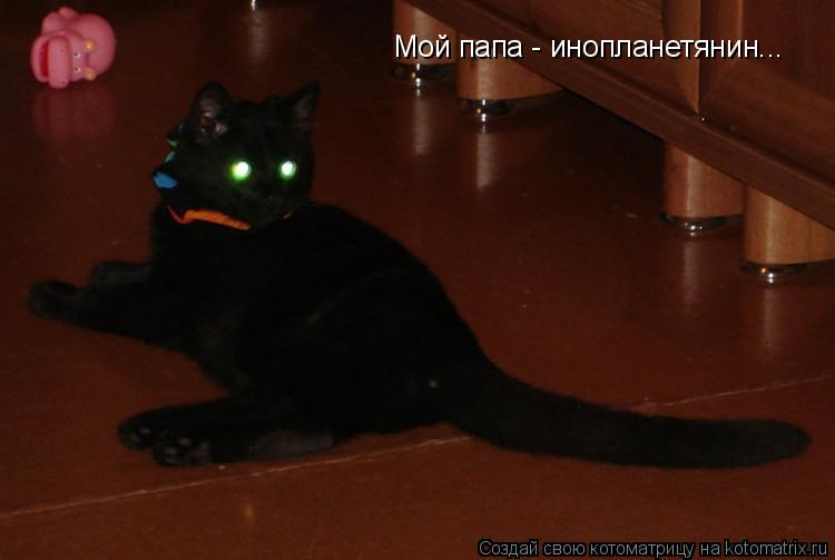 Котоматрица: Мой папа - инопланетянин...
