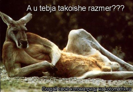 A u tebja takoishe razmer???... Котоматрица: A u tebja takoishe razmer???
