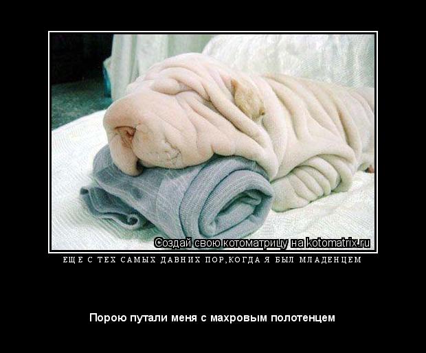 Е Щ Е С Т Е Х С А М Ы Х Д А В Н И Х П О Р , К О Г Д А Я Б Ы Л М Л А Д Е Н Ц Е М ... Котоматрица: Е Щ Е С Т Е Х С А М Ы Х Д А В Н И Х П О Р , К О Г Д А Я Б Ы Л М Л А Д Е Н Ц Е М