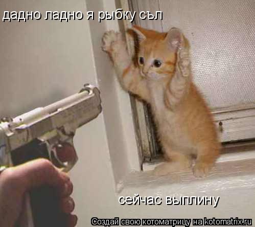 Котоматрица: дадно ладно я рыбку съл сейчас выплину