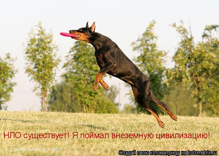 Котоматрица: НЛО существует! Я поймал внеземную цивилизацию!