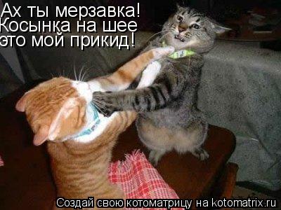 Ах ты мерзавка! Косынка на шее это мой прикид!... Котоматрица: Ах ты мерзавка! Косынка на шее это мой прикид!