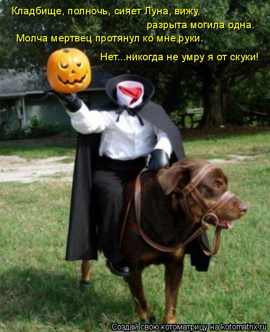 Котоматрица: Кладбище, полночь, сияет Луна, вижу,  разрыта могила одна.  Молча мертвец протянул ко мне руки…  Нет...никогда не умру я от скуки!