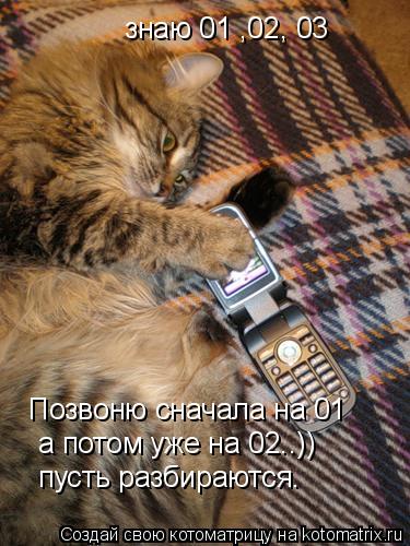 Котоматрица: знаю 01 ,02, 03 Позвоню сначала на 01 а потом уже на 02..)) пусть разбираются.