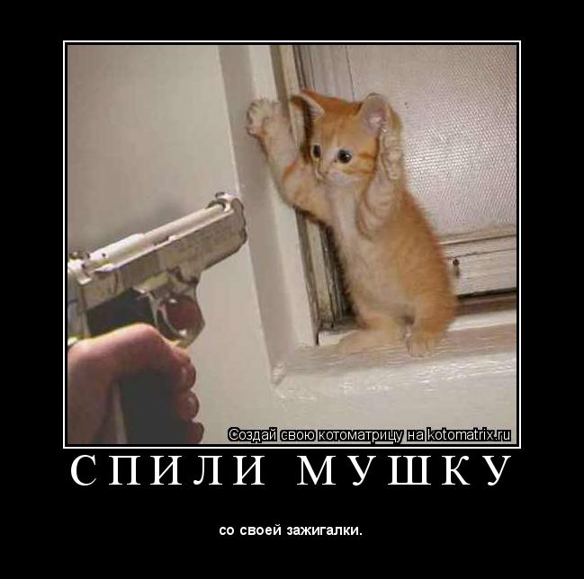 Котоматрица: С П И Л И   М У Ш К У 