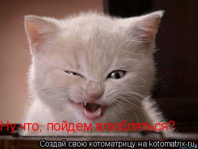 Котоматрица: Ну что, пойдем влюбляться?