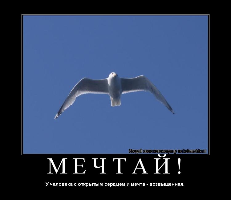 М Е Ч Т А Й ! ... Котоматрица: М Е Ч Т А Й !
