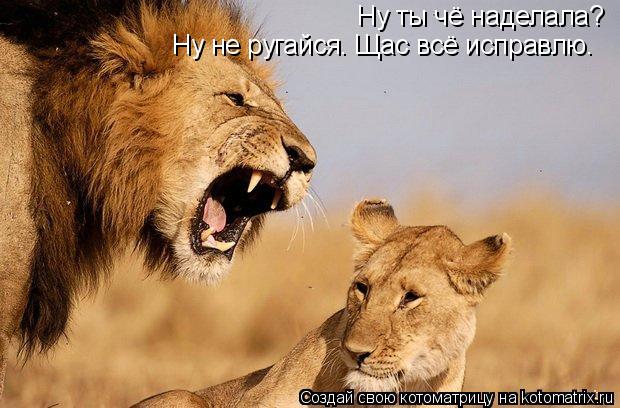 Ну ты чё наделала? Ну не ругайся. Щас всё исправлю.... Котоматрица: Ну ты чё наделала? Ну не ругайся. Щас всё исправлю.