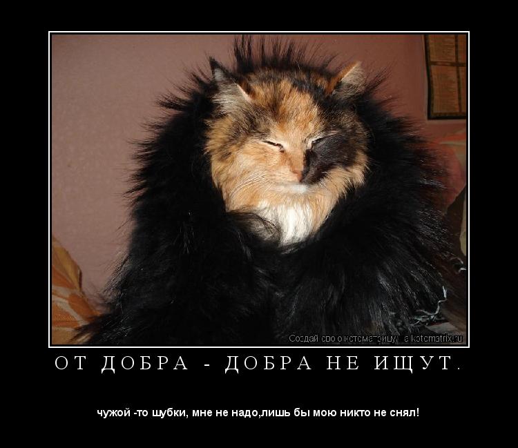 О Т Д О Б Р А - Д О Б Р А Н Е И Щ У Т . ... Котоматрица: О Т Д О Б Р А - Д О Б Р А Н Е И Щ У Т .