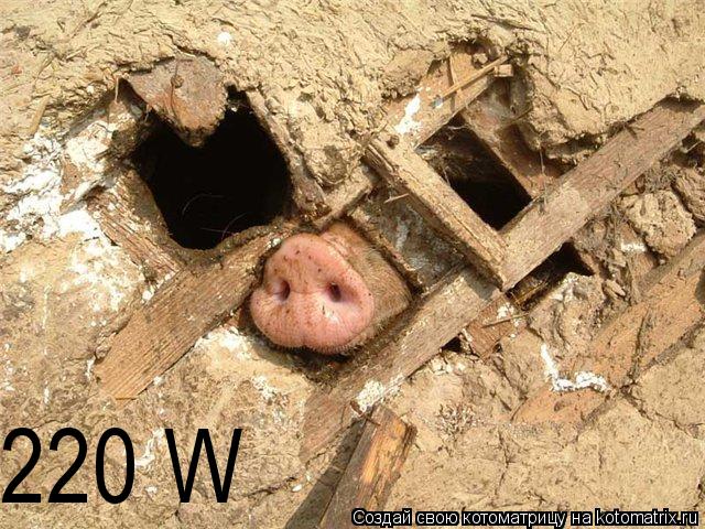 220 W... Котоматрица: 220 W