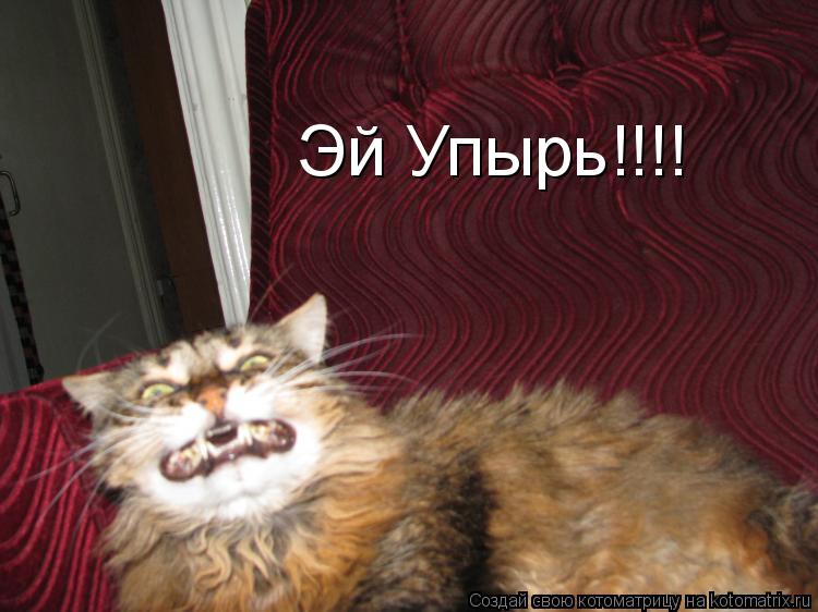 Эй Упырь!!!!... Котоматрица: Эй Упырь!!!!