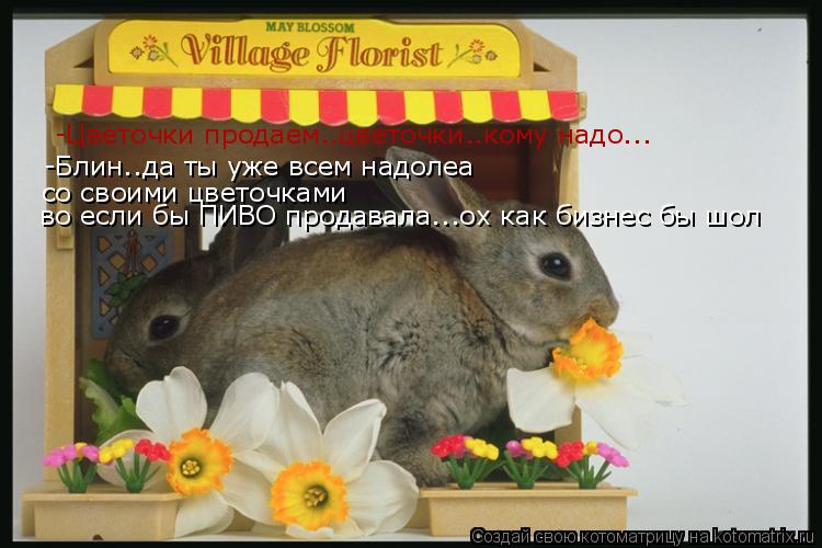 -Цветочки продаем..цветочки..кому надо... -Блин..да ты уже всем надолеа со своими цветочками во если ... Котоматрица: -Цветочки продаем..цветочки..кому надо... -Блин..да ты уже всем надолеа со своими цветочками во если бы ПИВО продавала...ох как бизнес бы шол