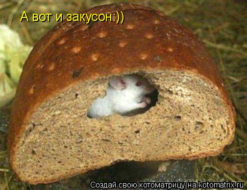 Котоматрица: А вот и закусон:))
