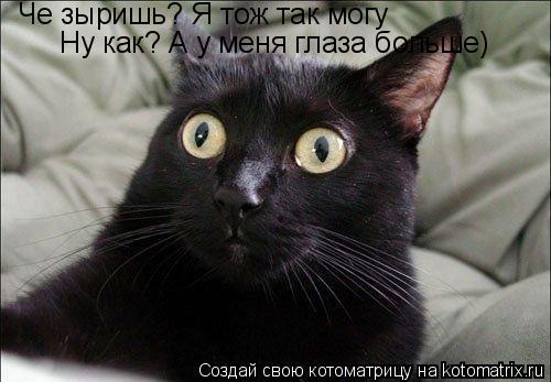 Че зыришь? Я тож так могу Ну как? А у меня глаза больше)... Котоматрица: Че зыришь? Я тож так могу Ну как? А у меня глаза больше)