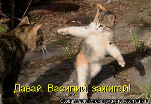Давай, Василий, зажигай!... Котоматрица: Давай, Василий, зажигай!