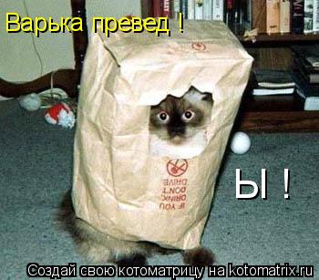 Варька превед ! Ы !... Котоматрица: Варька превед ! Ы !