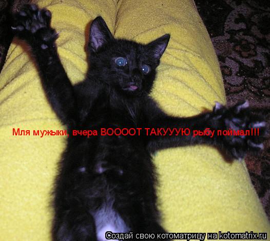 Котоматрица: Мля мужыки, вчера ВООООТ ТАКУУУЮ рыбу поймал!!!