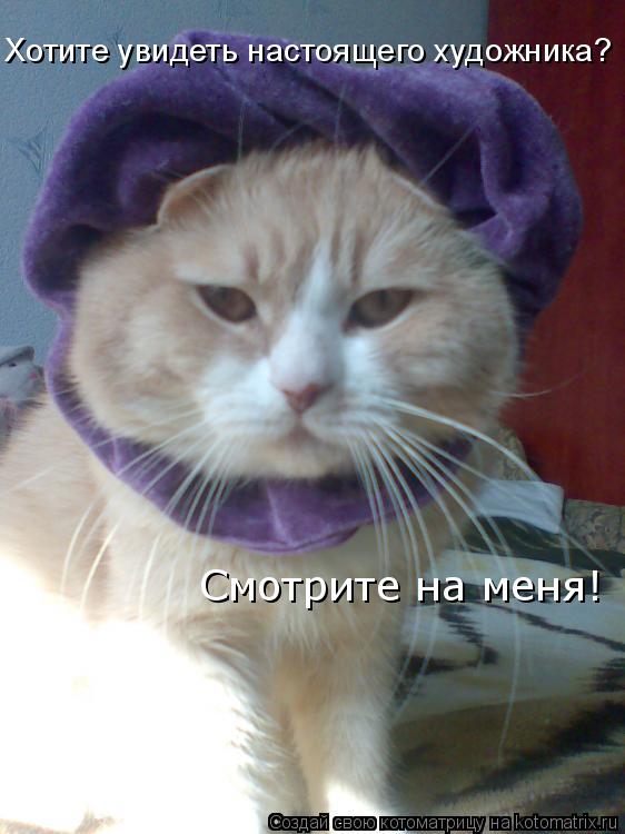 Котоматрица: Хотите увидеть настоящего художника? Смотрите на меня!