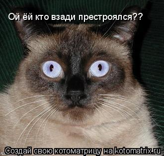 Ой ёй кто взади престроялся??... Котоматрица: Ой ёй кто взади престроялся??