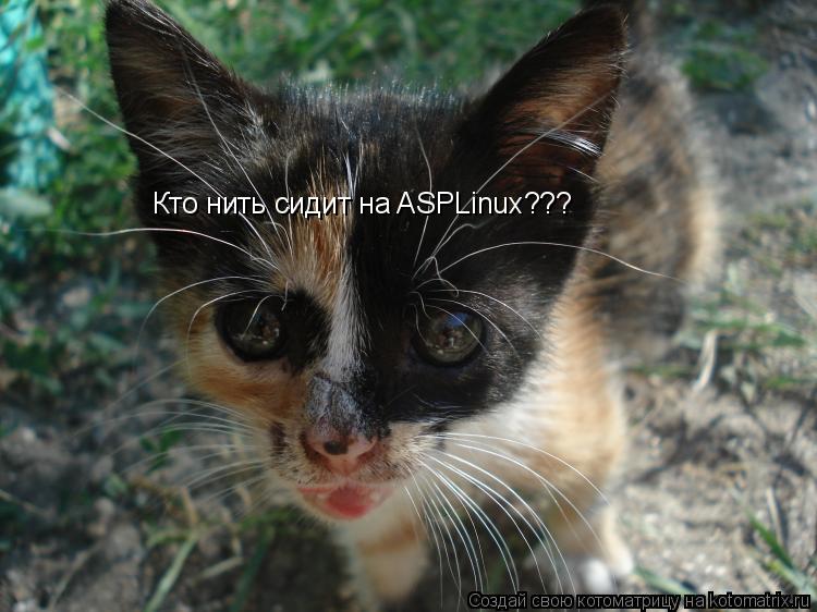 Кто нить сидит на ASPLinux???... Котоматрица: Кто нить сидит на ASPLinux???
