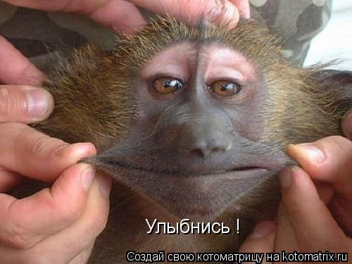 Улыбнись !... Котоматрица: Улыбнись !