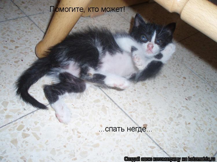 Котоматрица: Помогите, кто может!  ...спать негде...