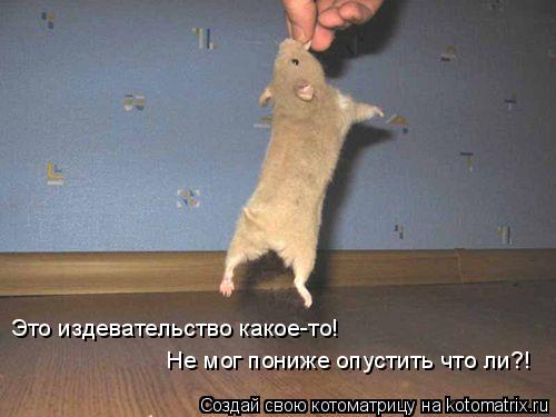 Котоматрица: Это издевательство какое-то! Не мог пониже опустить что ли?!