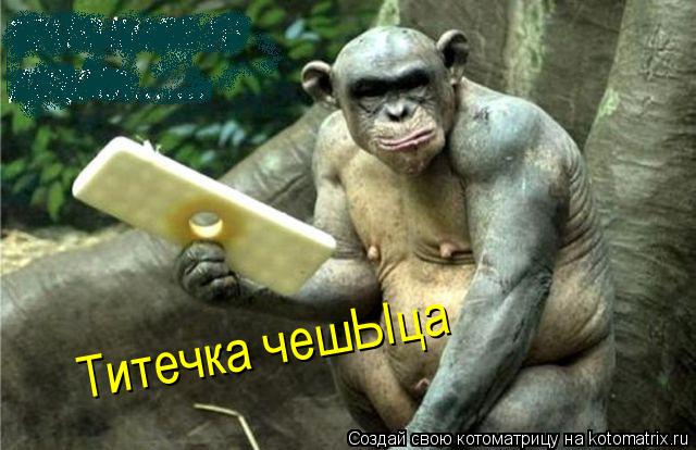 Титечка чешЫца... Котоматрица: Титечка чешЫца
