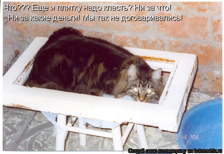 Что??? Еще и плитку надо класть? Ни за что! Ни за какие деньги! Мы так не договаривались!... Котоматрица: Что??? Еще и плитку надо класть? Ни за что! Ни за какие деньги! Мы так не договаривались!