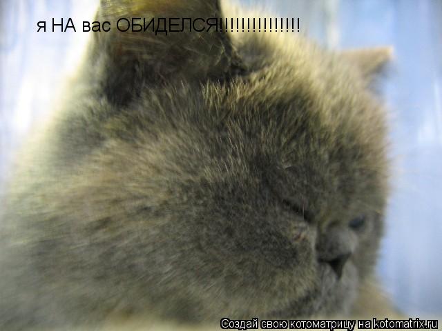 я НА вас ОБИДЕЛСЯ!!!!!!!!!!!!!!!... Котоматрица: я НА вас ОБИДЕЛСЯ!!!!!!!!!!!!!!!