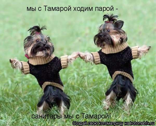 мы с Тамарой ходим парой - санитары мы с Тамарой!... Котоматрица: мы с Тамарой ходим парой - санитары мы с Тамарой!