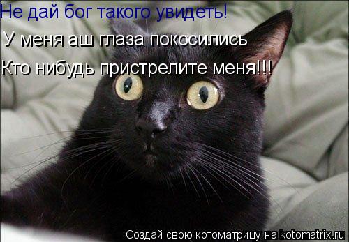 Не дай бог такого увидеть! У меня аш глаза покосились Кто нибудь пристрелите меня!!!... Котоматрица: Не дай бог такого увидеть! У меня аш глаза покосились Кто нибудь пристрелите меня!!!
