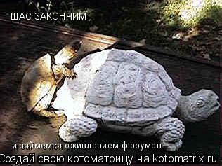 ЩАС ЗАКОНЧИМ, ЩАС ЗАКОНЧИМ, и займемся оживлением форумов... Котоматрица: ЩАС ЗАКОНЧИМ, ЩАС ЗАКОНЧИМ, и займемся оживлением форумов