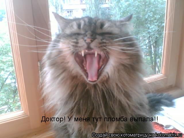 Котоматрица: Доктор! У меня тут пломба выпала!!