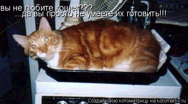 вы не любите кошек??? ...да вы просто не умеете их готовить!!!... Котоматрица: вы не любите кошек??? ...да вы просто не умеете их готовить!!!